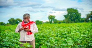 Madhya Pradesh Govt Plans New Benefits for Mustard and Groundnut Farmers
