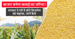 Government Boosts Millet-Based Food Processing to Support Farmers & MSMEs