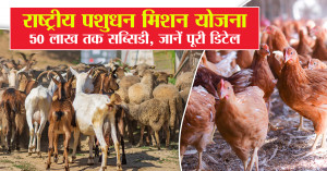 राष्ट्रीय पशुधन मिशन योजना