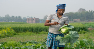 Madhya Pradesh: New Food Basket of India Driving Agricultural Growth