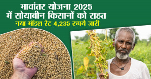 Bhavantar Scheme 2025 Brings Relief to Soybean Farmers; New Model Rate Set at ₹4,235 per Quintal
