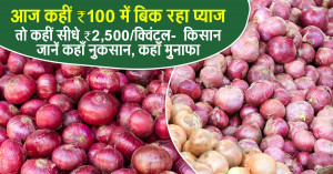Onion Prices Shock the Market: ₹100 in Some Mandis, Up to ₹2,500/Quintal in Others — Farmers Must Know Where Loss Turns Into Profit