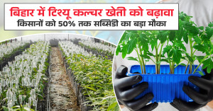 बिहार में टिश्यू कल्चर खेती को बढ़ावा: किसानों को 50% तक सब्सिडी का बड़ा मौका | Khetivyapar