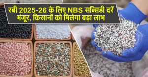रबी 2025-26 के लिए NBS सब्सिडी दरें मंजूर, किसानों को मिलेगा बड़ा लाभ | Khetivyapar