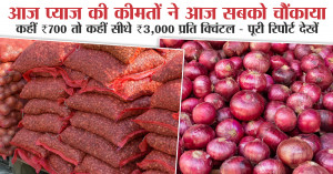 Onion price: आज प्याज की कीमतों ने आज सबको चौंकाया, कहीं ₹700 तो कहीं सीधे ₹3,000 प्रति क्विंटल - पूरी रिपोर्ट देखें