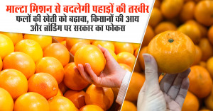 Malta Mission to Transform the Hills: Govt Focuses on Fruit Cultivation, Farmer Income and Branding