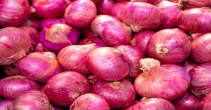 Onion Prices Today: Barahat Mandi in Bihar Hits ₹3,200, Haryana Markets Also See Firm Rates