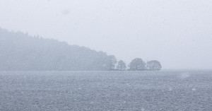 Cold Wave Grips North India: Dense Fog in UP–Bihar, Delhi Records Coldest Morning in 13 Years