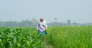 MP Government Launches Krishak Kalyan Year: New Hope for Farmers