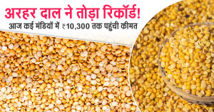 Tur Dal Breaks Records: Prices Touch ₹10,300 per Quintal in Several Mandis