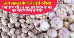 Garlic price: आज लहसुन बेचने से पहले रुकिए! ये मंडी दिला रही ₹18,000 प्रति क्विंटल का भाव, नाम जानकर हैरान रह जाएंगे