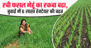 Wheat Sowing Increases in Rabi Season, Area Crosses 334 Lakh Hectares