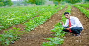 Promoting Natural and Organic Farming: Key Decisions Taken at Bhopal ATMA Governing Board Meeting