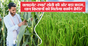 क्लाइमेट-स्मार्ट खेती की ओर बड़ा कदम, धान किसानों को मिलेगा कार्बन क्रेडिट