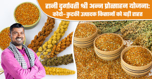 Rani Durgavati Shri Anna Promotion Scheme Brings Major Relief to Kodo–Kutki Farmers