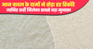 Rice price: आज चावल के दामों ने तोड़ा हर रिकॉर्ड – जानिए कहाँ मिलेगा सबसे बड़ा मुनाफ़ा