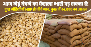 Wheat Market Prices Today (03 February 2026) — State-wise Mandi Report by Khetivyapar