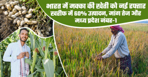 Maize Cultivation Gains Fresh Momentum in India: 60% Output in Kharif, Rising Demand, and Madhya Pradesh Tops Production