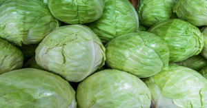 Cabbage Market Prices (05 February 2026): Check Where Farmers Are Getting the Best Rates
