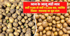 आलू का भाव - (06 फरवरी, 2026)