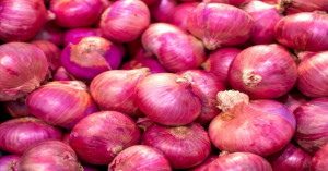 Onion Prices Today: Rates Touch ₹2,800 in Bihar, How Did Maharashtra and Delhi Perform? Full Report
