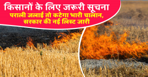 Government has started satellite monitoring to control stubble burning air pollution after paddy harvest in North India
