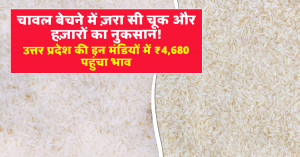One Wrong Move Can Cost Thousands: Rice Prices Touch ₹4,680 in Select Uttar Pradesh Mandis