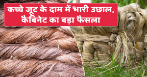 कच्चे जूट का एमएसपी 2026-27