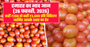 Tomato Market Prices Today (26 Feb, 2026) Somewhere ₹200, Somewhere ₹3,000 per Quintal! Check Today’s Rates in Your City