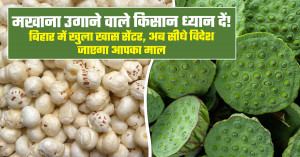 मखाना अनुसंधान एवं विकास केंद्र