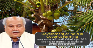 Major Plan in the Works for Coconut Farmers, Focus on Boosting Production and Processing