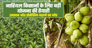 नारियल क्षेत्र को बढ़ावा देने की तैयारी