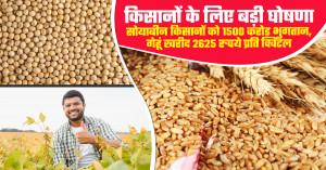 गेहूं का सरकारी रेट 2026