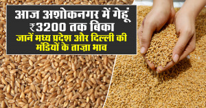 गेहूं का भाव (09 मार्च 2026)