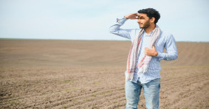 Advisory for Wheat, Onion and Tomato Crops amid Rising Heat; Right Time to Sow These Vegetables