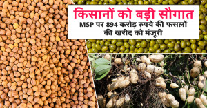 किसानों को बड़ी सौगात, MSP पर 894 करोड़ रुपये की फसलों की खरीद को मंजूरी