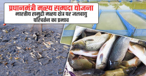 PMMSY Scheme Boosts Fish Production and Fishermen Income in India