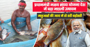 PMMSY Scheme Boosts Fish Production and Fishermen Income in India