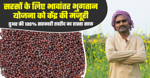 सरसों के लिए भावांतर भुगतान योजना को केंद्र की मंजूरी, तुअर की 100% सरकारी खरीद का रास्ता साफ
