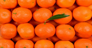Orange Market Prices: Rates Touch ₹12,000 in Pune - Check Which Market is Offering the Best Price