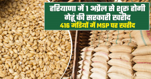 Wheat Procurement in Haryana to Start from April 1; 416 Mandis Ready for Farmers