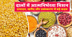 सरकारी दाल खरीद