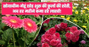 Mr. Ramsingh Kushwah Earns Lakhs with Modern Horticulture