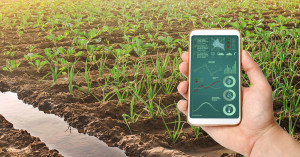 AI Transforms Kharif Farming: Smarter Sowing with Local Monsoon Forecasts