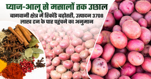 प्याज-आलू से मसालों तक उछाल, बागवानी क्षेत्र में रिकॉर्ड बढ़ोतरी, उत्पादन 3708 लाख टन के पार पहुंचने का अनुमान