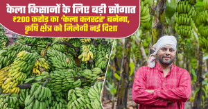 केला किसानों के लिए बड़ी सौगात: ₹200 करोड़ का ‘केला क्लस्टर’ बनेगा, कृषि क्षेत्र को मिलेगी नई दिशा