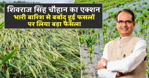 High-Level Review of Agriculture Sector by Union Minister Shivraj Singh Chouhan