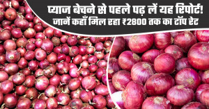 Onion Market Prices Today: Check This Report Before Selling - Top Rates Reach ₹2,800 per Quintal