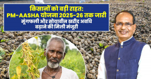 पीएम आशा योजना