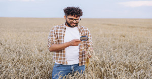 UP Farmers Get Major Relief: Wheat Procurement Begins at ₹2,585 MSP, Payments within 48 Hours via DBT